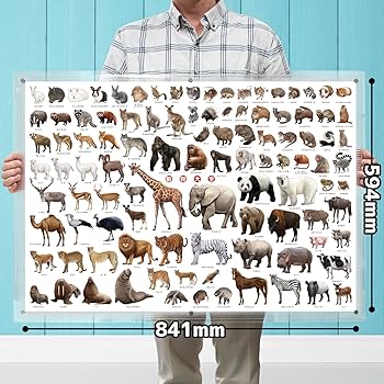 Amazon.co.jp: ザ・アクセス【動物大全 A1ポスター】動物